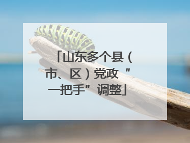 山东多个县（市、区）党政“一把手”调整