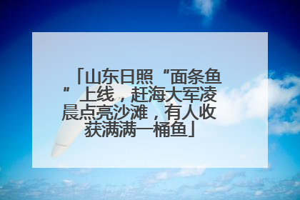 山东日照“面条鱼”上线，赶海大军凌晨点亮沙滩，有人收获满满一桶鱼