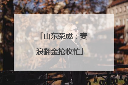 山东荣成：麦浪翻金抢收忙