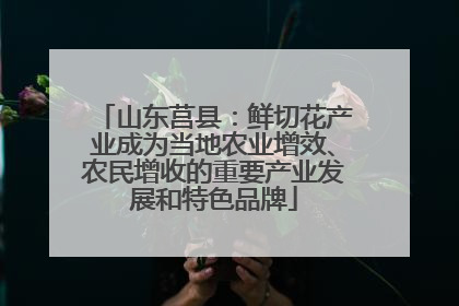 山东莒县：鲜切花产业成为当地农业增效、农民增收的重要产业发展和特色品牌