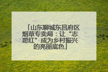 山东聊城东昌府区烟草专卖局：让“志愿红”成为乡村振兴的亮丽底色