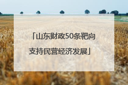 山东财政50条靶向支持民营经济发展