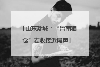 山东郯城：“鲁南粮仓”麦收接近尾声