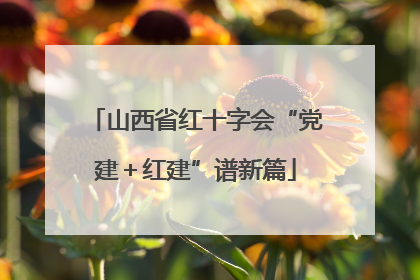 山西省红十字会“党建＋红建”谱新篇