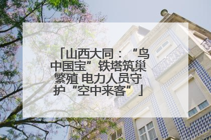 山西大同：“鸟中国宝”铁塔筑巢繁殖 电力人员守护“空中来客”