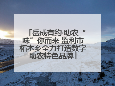 岳成有约·助农“味”你而来 监利市柘木乡全力打造数字助农特色品牌