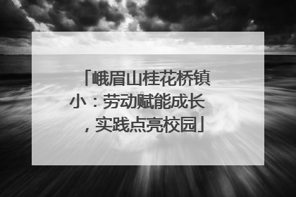 峨眉山桂花桥镇小：劳动赋能成长，实践点亮校园