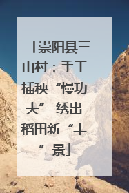 崇阳县三山村：手工插秧“慢功夫” 绣出稻田新“丰”景