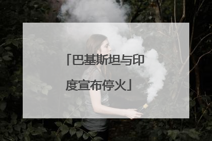 巴基斯坦与印度宣布停火