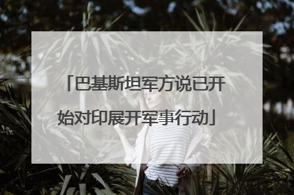 巴基斯坦军方说已开始对印展开军事行动