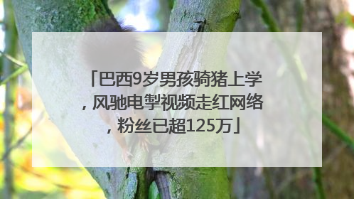 巴西9岁男孩骑猪上学，风驰电掣视频走红网络，粉丝已超125万