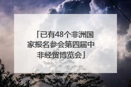 已有48个非洲国家报名参会第四届中非经贸博览会