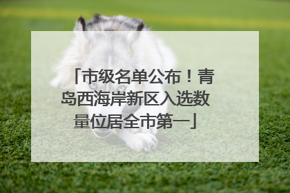 市级名单公布！青岛西海岸新区入选数量位居全市第一