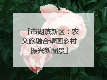 市湖滨新区：农文旅融合擘画乡村振兴新图景