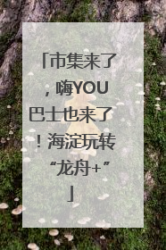 市集来了，嗨YOU巴士也来了！海淀玩转“龙舟+”