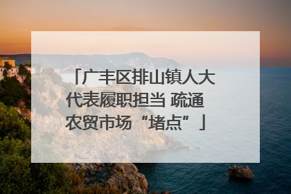 广丰区排山镇人大代表履职担当 疏通农贸市场“堵点”