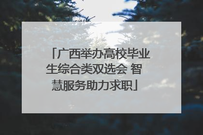 广西举办高校毕业生综合类双选会 智慧服务助力求职
