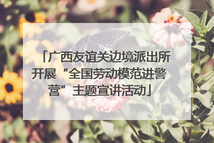 广西友谊关边境派出所开展“全国劳动模范进警营”主题宣讲活动