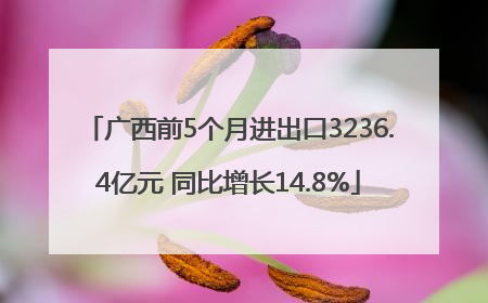 广西前5个月进出口3236.4亿元 同比增长14.8%