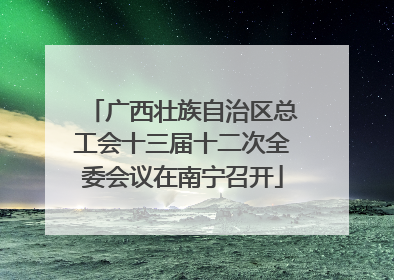 广西壮族自治区总工会十三届十二次全委会议在南宁召开