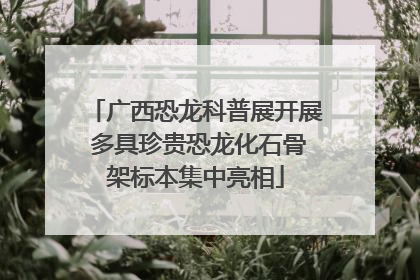 广西恐龙科普展开展 多具珍贵恐龙化石骨架标本集中亮相