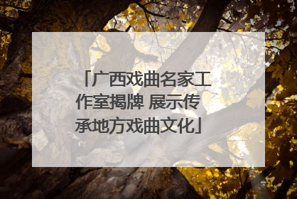 广西戏曲名家工作室揭牌 展示传承地方戏曲文化