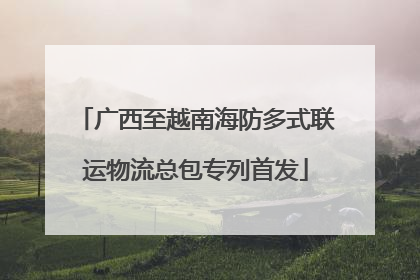 广西至越南海防多式联运物流总包专列首发
