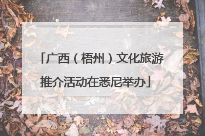 广西（梧州）文化旅游推介活动在悉尼举办