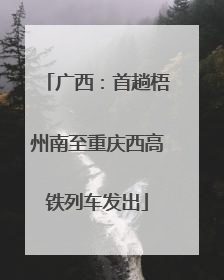 广西：首趟梧州南至重庆西高铁列车发出