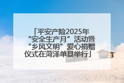 平安产险2025年“安全生产月”活动暨“乡风文明”爱心捐赠仪式在菏泽单县举行