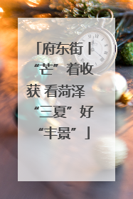 府东街丨“芒”着收获 看菏泽“三夏”好“丰景”