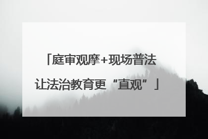 庭审观摩+现场普法 让法治教育更“直观”