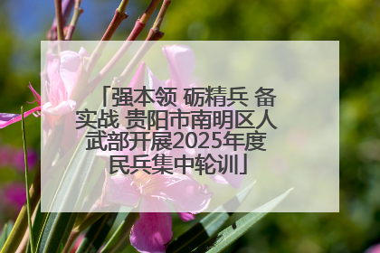 强本领 砺精兵 备实战 贵阳市南明区人武部开展2025年度民兵集中轮训