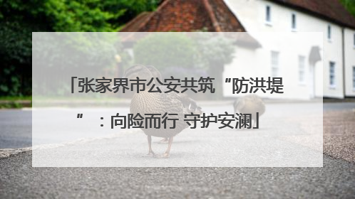 张家界市公安共筑“防洪堤”：向险而行 守护安澜