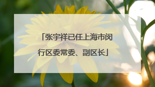 张宇祥已任上海市闵行区委常委、副区长