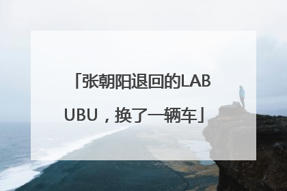 张朝阳退回的LABUBU，换了一辆车
