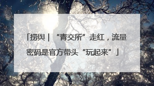 捞舆｜“青交所”走红，流量密码是官方带头“玩起来”
