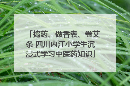 捣药、做香囊、卷艾条 四川内江小学生沉浸式学习中医药知识