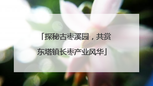 探秘古枣溪园，共赏东塔镇长枣产业风华