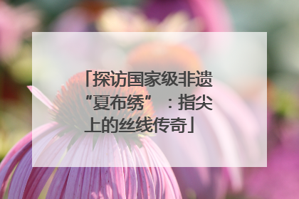 探访国家级非遗“夏布绣”：指尖上的丝线传奇