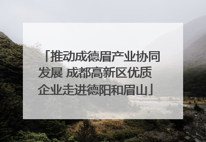 推动成德眉产业协同发展 成都高新区优质企业走进德阳和眉山