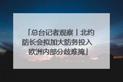 总台记者观察丨北约防长会拟加大防务投入 欧洲内部分歧难掩