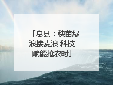 息县：秧苗绿浪接麦浪 科技赋能抢农时
