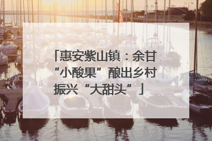 惠安紫山镇：余甘“小酸果”酿出乡村振兴“大甜头”