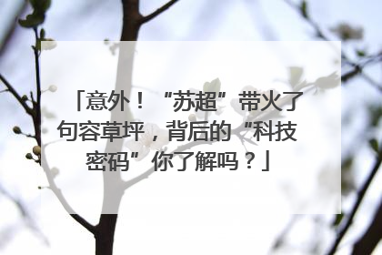 意外！“苏超”带火了句容草坪，背后的“科技密码”你了解吗？