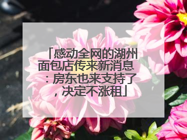感动全网的湖州面包店传来新消息：房东也来支持了，决定不涨租