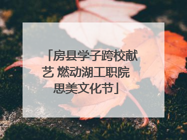 房县学子跨校献艺 燃动湖工职院思美文化节