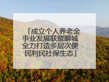 成立个人养老金事业发展联盟聊城全力打造多层次便民利民社保生态