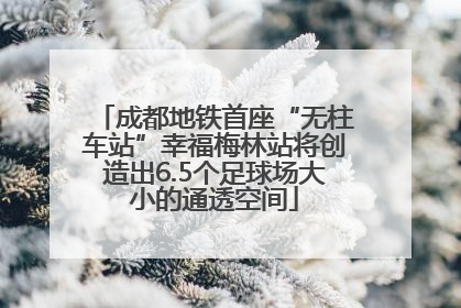 成都地铁首座“无柱车站”幸福梅林站将创造出6.5个足球场大小的通透空间