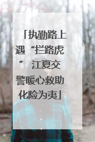 执勤路上遇“拦路虎” 江夏交警暖心救助化险为夷